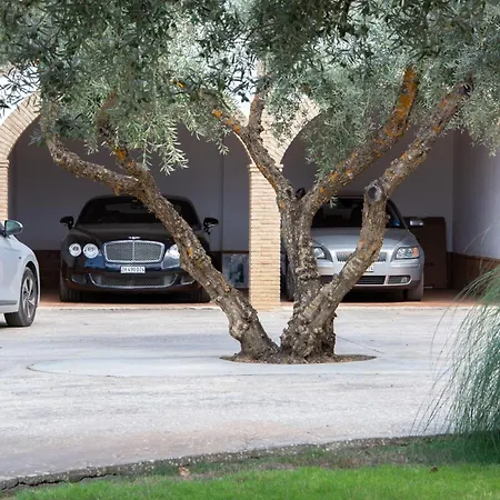 Andalusische Luxus-finca La Almunia Garden Ronda Willa *